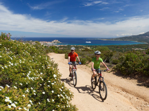 Boucle Vélo de route Palombaggia