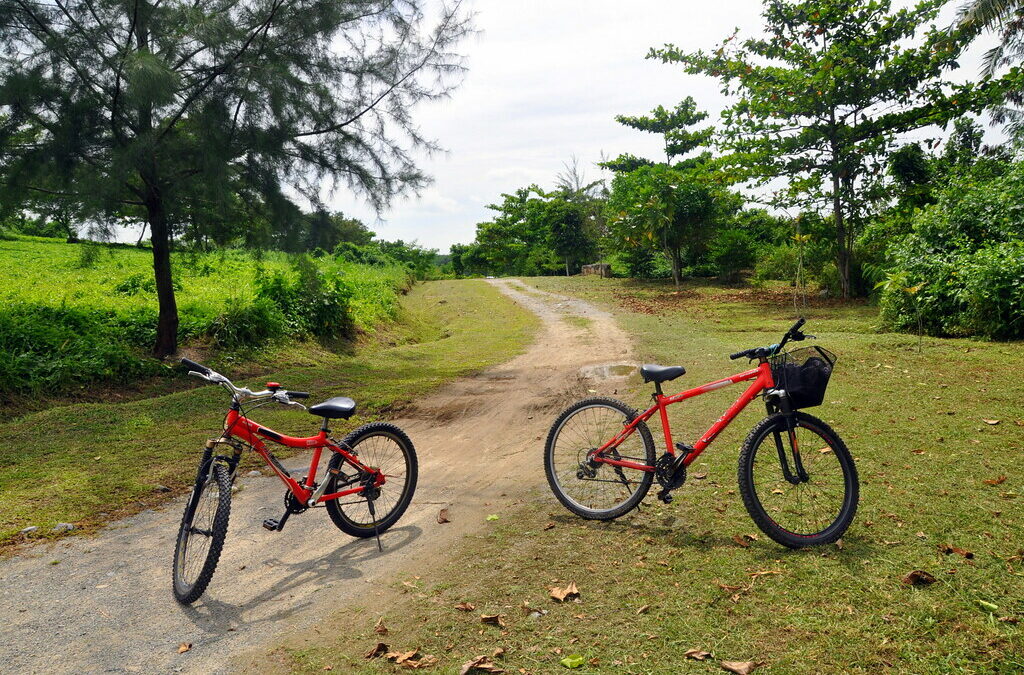 Boucle Vélo VTT Vae la testa