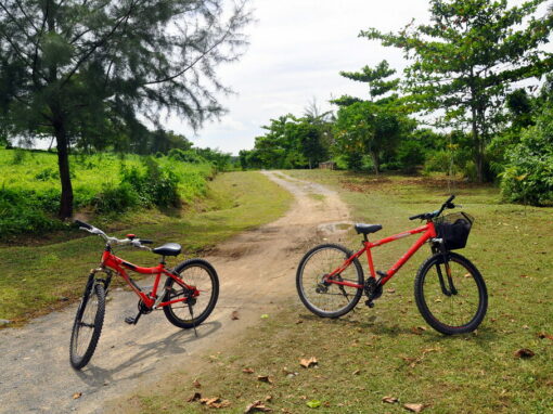 Boucle Vélo VTT Vae la testa