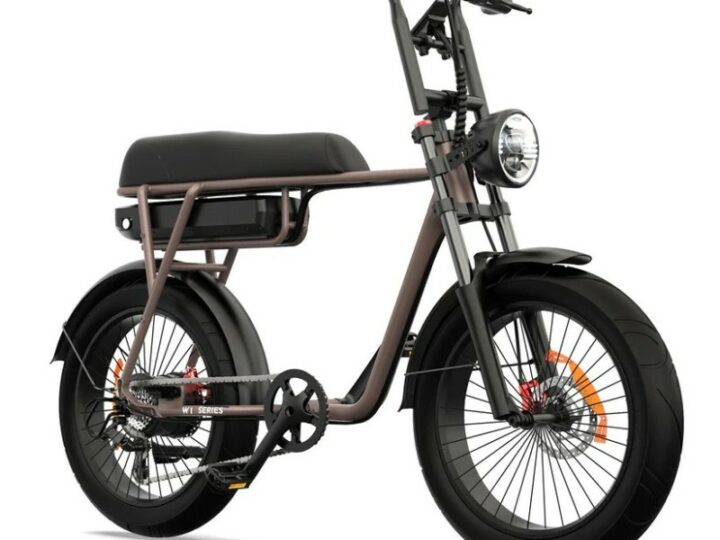 Fatbike Biplace Electrique Compact Cargo 250W